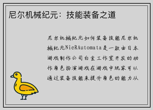 尼尔机械纪元：技能装备之道