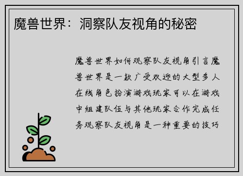 魔兽世界：洞察队友视角的秘密